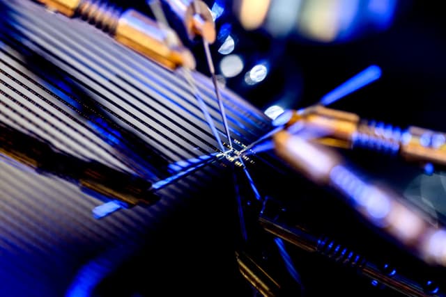 Professional Experience